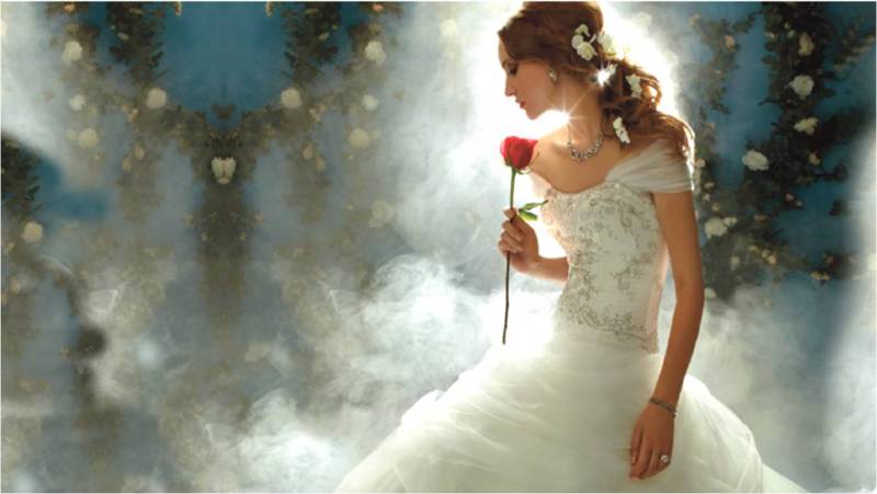 Alfred Angelo Disney princess wedding dresses belle
